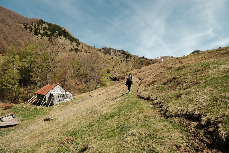 Lëpushë, Albania